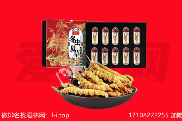 白银市回收虫草.jpg